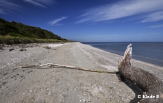 photo no 16