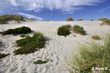 photo no 17
