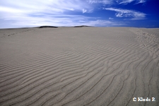 photo no 18