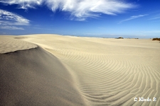 photo no 19