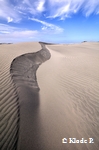 photo no 21
