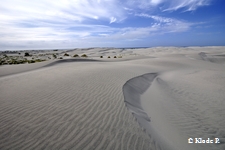 photo no 22