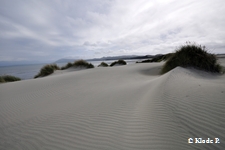 photo no 24
