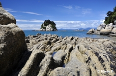 photo no 6