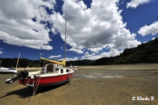 photo no 9