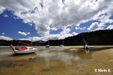 photo no 10