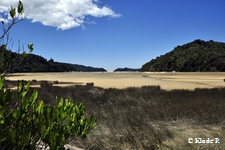photo no 11