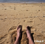 photo no 12