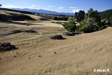 photo no 13