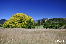 photo no 3