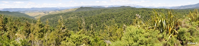 photo no 4