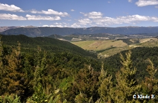 photo no 5
