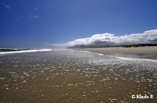 photo no 6