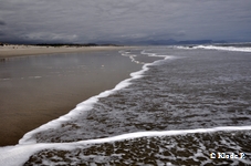 photo no 7