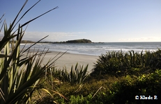 photo no 9