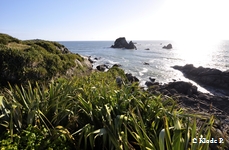 photo no 11