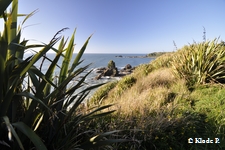 photo no 12