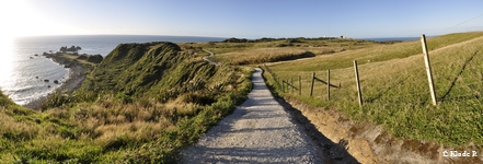 photo no 14