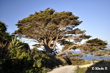 photo no 15