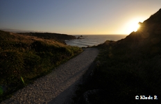 photo no 17