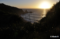 photo no 19