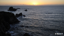 photo no 20