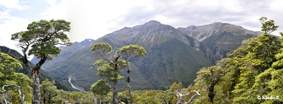 photo no 4