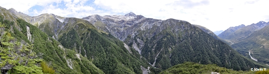 photo no 5