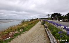 photo no 4