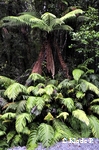 photo no 10