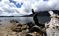 photo no 15