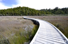photo no 4
