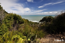 photo no 3