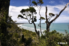 photo no 4