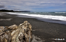 photo no 8