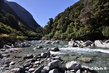 photo no 4