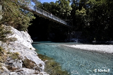 photo no 6