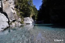 photo no 7