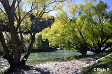 photo no 6