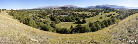 photo no 8