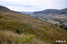 photo no 11