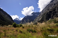 photo no 3