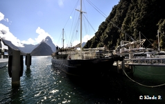 photo no 5