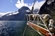 photo no 6