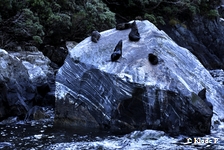 photo no 19