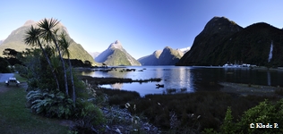 photo no 2