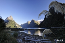 photo no 3