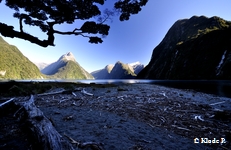 photo no 4