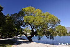 photo no 7