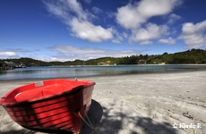 photo no 4